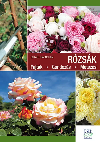 Népszerű Rózsák