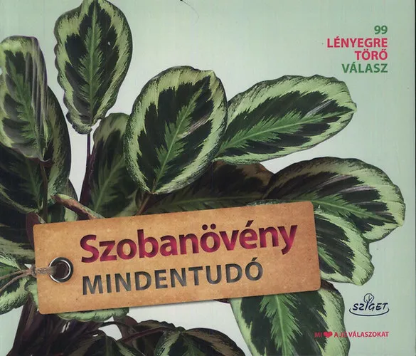 Szobanövény mindentudó Árengedmény