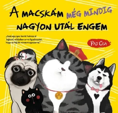 Azonnal elérhető A macskám még mindig nagyon utál engem - Macska és Kutya 3.