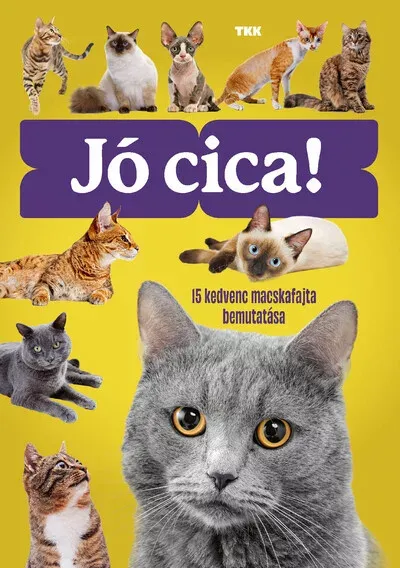 Jó cica! - 15 kedvenc macskafajta bemutatása - György Magdolna Akciós ár