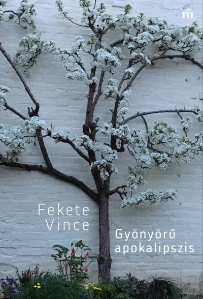 Gyönyörű apokalipszis Kihagyhatatlan ajánlat