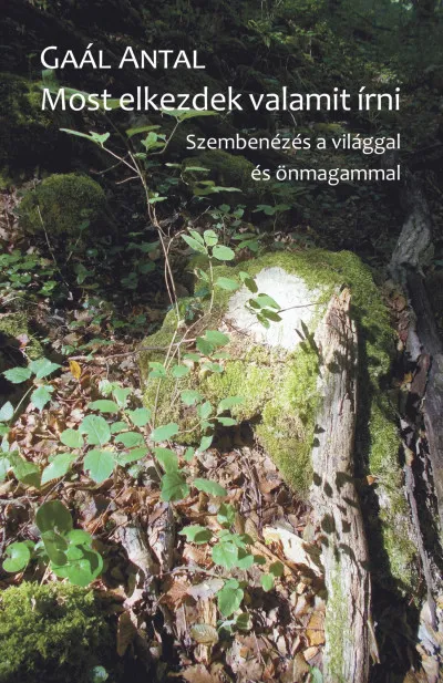 Csak ma Most elkezdek valamit írni - Szembenézés a világgal és önmagammal