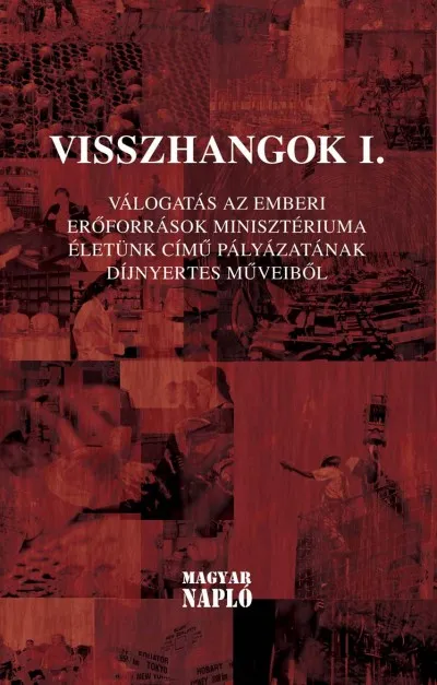 Vásárlói kedvenc Visszhangok I. - Válogatás az Emberi Erőforrások Minisztériuma Életünk című pályázatának díjnyertes műveiből