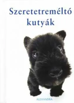 Szeretetreméltó kutyák Nézd meg most