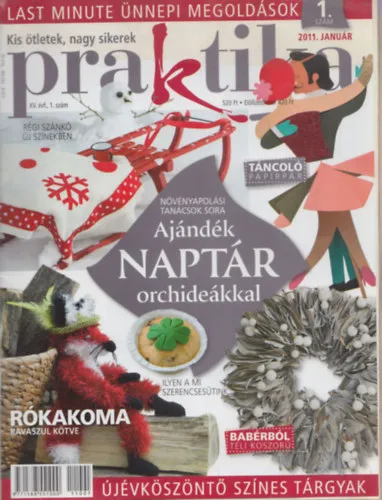 Utolsó esély 12 db Praktika - 2011/1-12. (teljes évfolyam, lapszámonként)