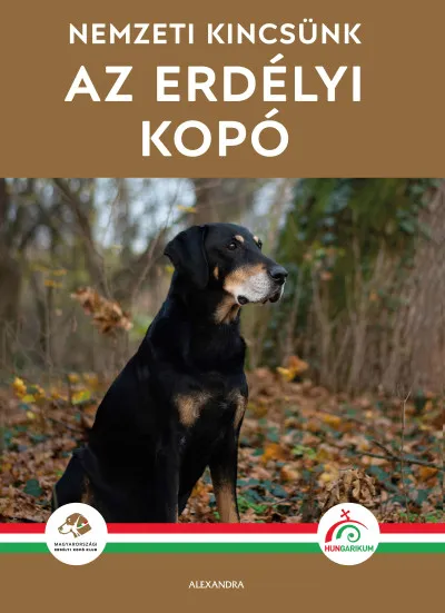 Az erdélyi kopó Szezonális akció