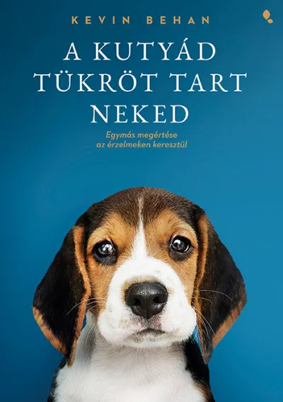 A kutyád tükröt tart neked - Egymás megértése az érzelmeken keresztül Prémium