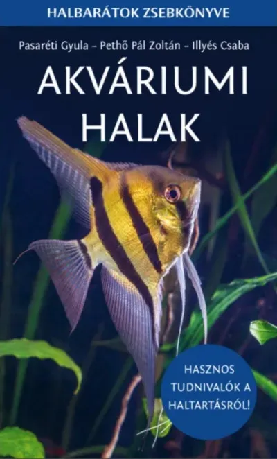 Prémium Akváriumi halak - Hasznos tudnivalók a haltartásról!