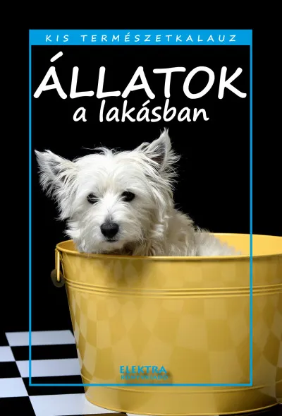 Olcsóbb Állatok a lakásban