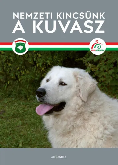 Nemzeti kincsünk a kuvasz Kedvezményes ár