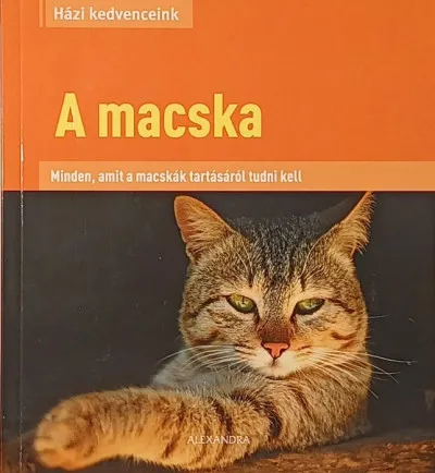 Árcsökkenés A macska - Minden, amit a macskák tartásáról tudni kell