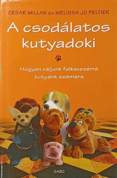 Utolsó esély A csodálatos kutyadoki - Hogyan váljunk falkavezérré kutyánk számára