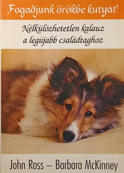 Csak ma Fogadjunk örökbe kutyát! - Nélkülözhetetlen kalauz a legújabb családtaghoz