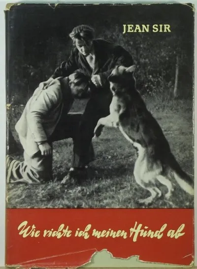 Wie richte ich meinen Hund ab Olcsóbb