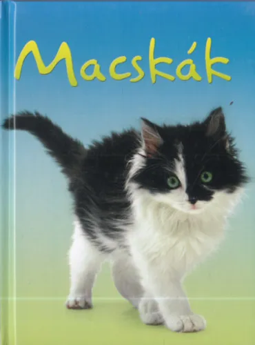 Utolsó esély Macskák