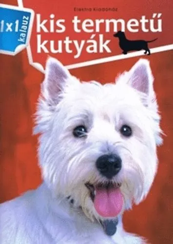 Kedvezményes ár Kis termetű kutyák