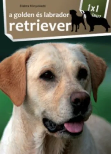 Biztonságos fizetés A golden és labrador retriever