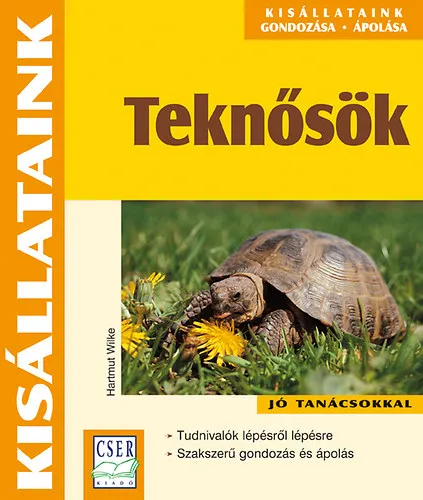 Teknősök Kihagyhatatlan ajánlat