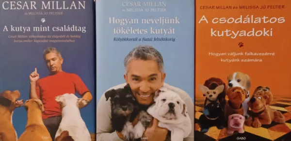Különleges ajánlat Hogyan neveljünk tökéletes kutyát + A kutya mint családtag + A csodálatos kutyadoki (3 mű)