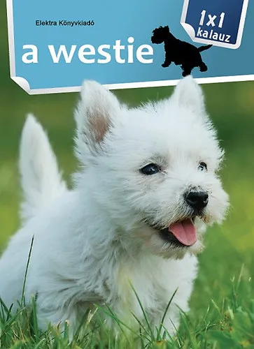Kedvezményes ár A westie - 1x1 kalauz