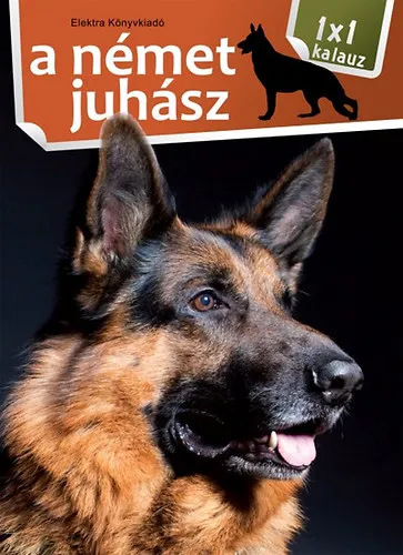 Legjobb ár A német juhász - 1x1 kalauz