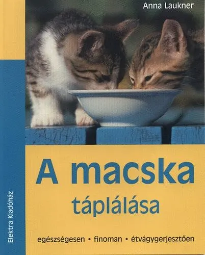 Népszerű A macska táplálása - Egészségesen, finoman, étvágygerjesztően