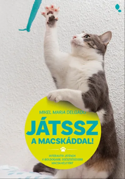 Játssz a macskáddal! Outlet
