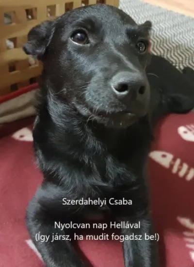 Nyolcvan nap Hellával - Így jársz, ha mudit fogadsz be! Akció