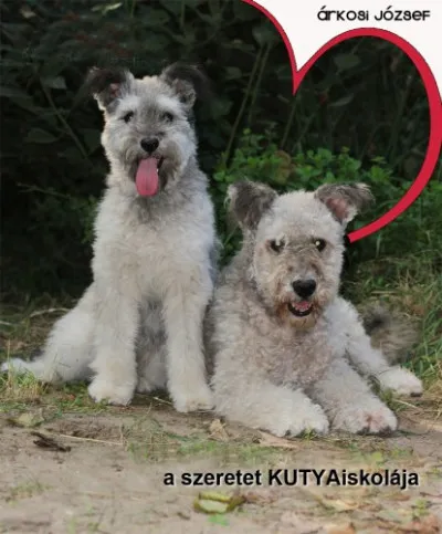 Korlátozott ajánlat A szeretet KUTYAiskolája