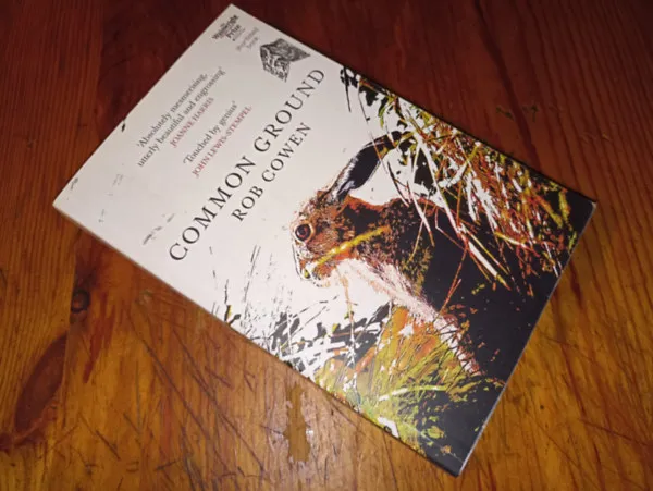 Common Ground Kihagyhatatlan ajánlat