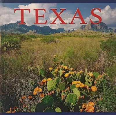 Texas Azonnal elérhető