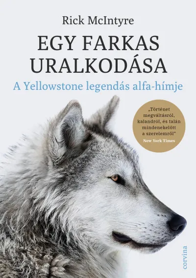 Vedd meg most Egy farkas uralkodása - A Yellowstone legendás alfahímje