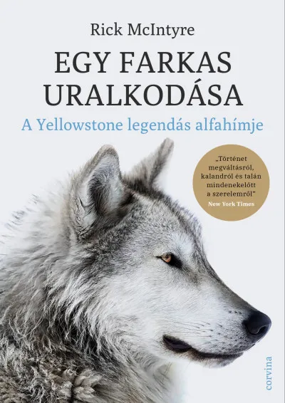 Egy farkas uralkodása - A Yellowstone legendás alfa-hímje Biztonságos vásárlás