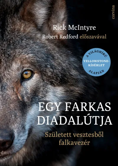 Egy farkas diadalútja - Született vesztesből falkavezér Expressz szállítás