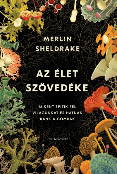 Az élet szövedéke Csak ma