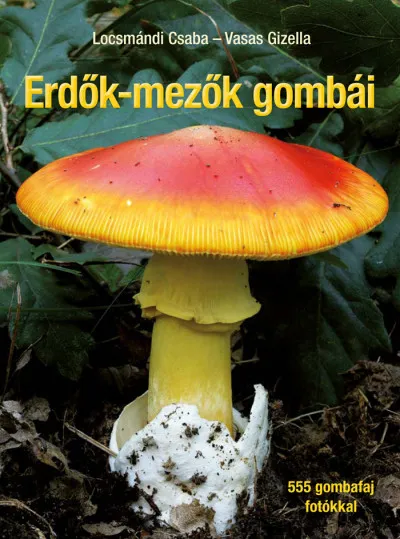 Gyors kiszállítás Erdők-mezők gombái - 555 gombafaj - fotókkal