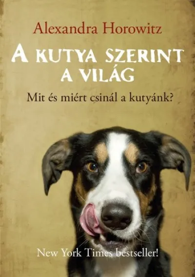 A kutya szerint a világ Árengedmény