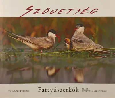 Kedvezmény Szövetség - Fattyúszerkők élete a násztól a kirepítésig