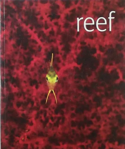 Reef - Scubazoo Olcsó