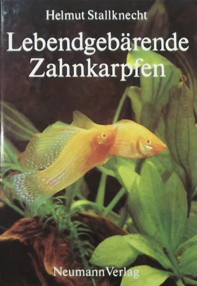 Lebendgebärende Zahnkarpfen Prémium