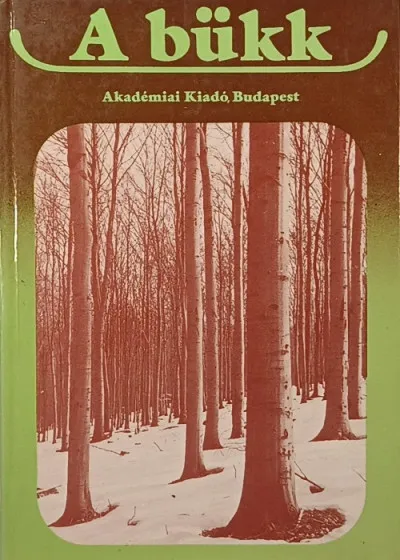 A bükk Nézd meg most