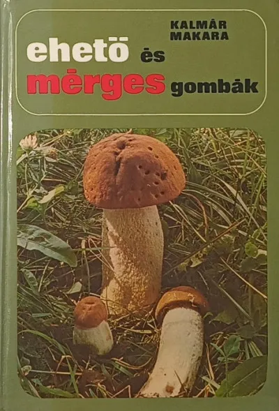 Ehető és mérges gombák Népszerű