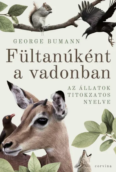 Outlet Fültanúként a vadonban - Az állatok titokzatos nyelve