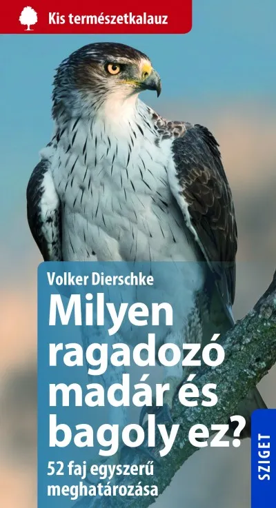 Milyen ragadozó madár és bagoly ez? - 52 faj egyszerű meghatározása Népszerű