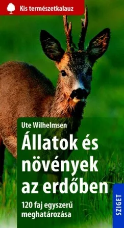 Állatok és növények az erdőben - 120 faj egyszerű meghatározása Olcsóbb