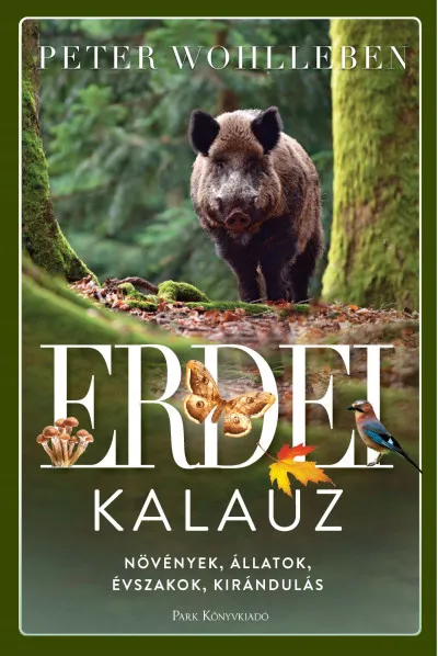 Prémium Erdei kalauz - Növények, állatok, évszakok, kirándulás