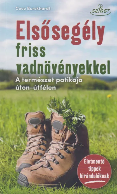 Akció Elsősegély friss vadnövényekkel - A természet patikája úton-útfélen