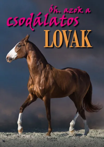 Nézd meg most Óh. azok a csodálatos lovak