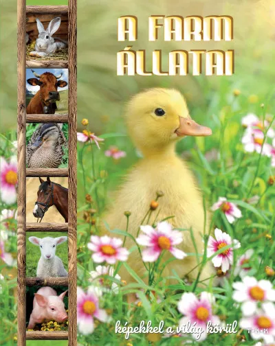 A farm állatai Bestseller