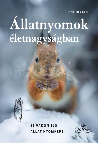 Árcsökkenés Állatnyomok életnagyságban